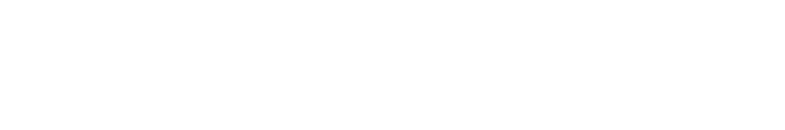 Herzsicher Logo
